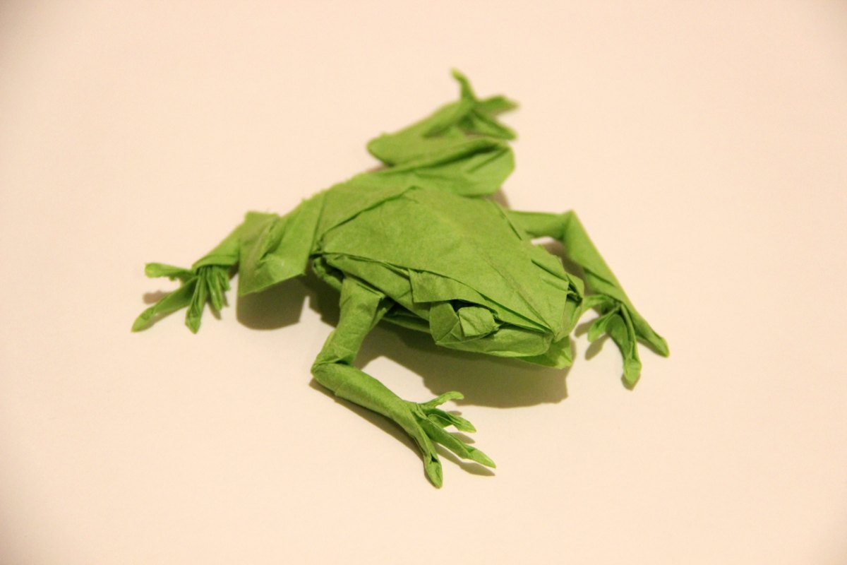 Origami tree frog